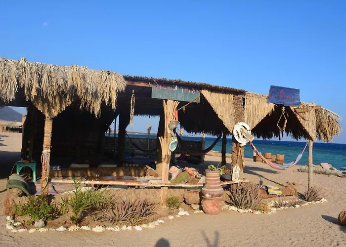 New Galluma Camp Kamp alanı